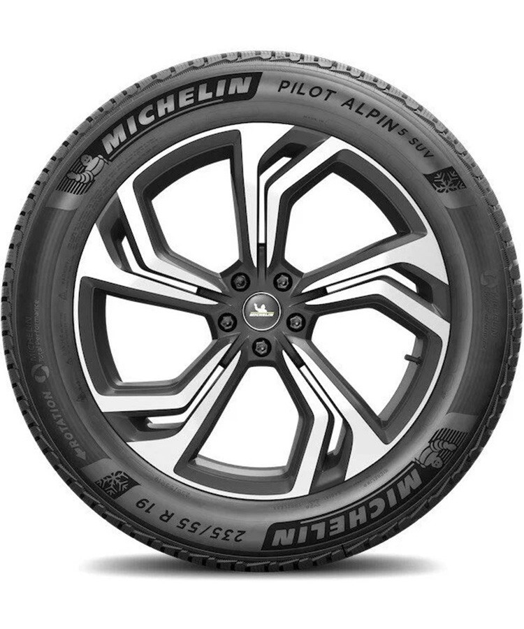 Michelin Pilot Alpin 5 SUV 315/40 R21 115V (XL) заказать